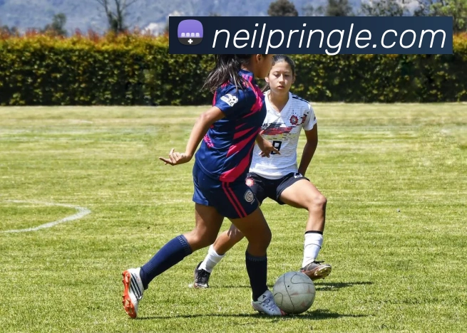 平台使命图
